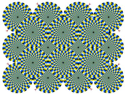 augen