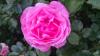 2015-06-03-20-44-35