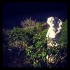 IMG_20130425_181630