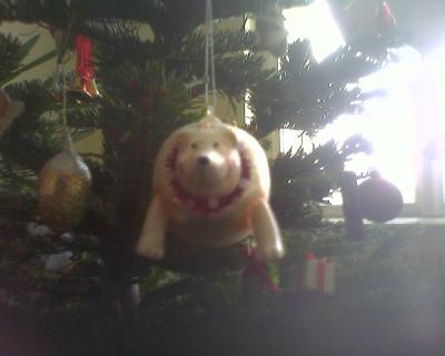 XMasbaer