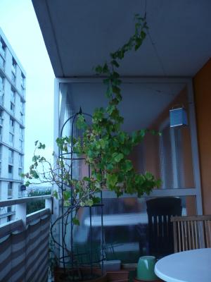 P10108551