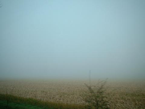 Lichter Nebel am Morgen