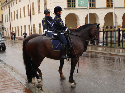 Schwedische Polizei mit Pferden.