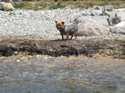 Luigi-2011-in-portoroz