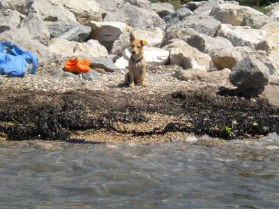 happolonius-in-portoroz