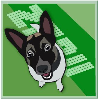 Hund Zebu