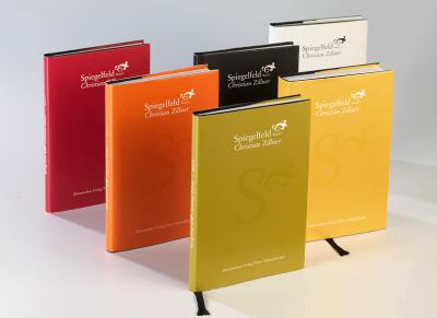 Buchcover_Spiegelfeld