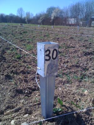 vermessene Parzellen, hier die 30