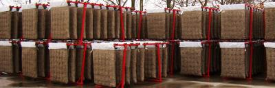 Vorkeimen von Kartoffeln mit Vorkeimsystem Joppe Vorkeimen von Kartoffeln mit Vorkeimsystem Joppe