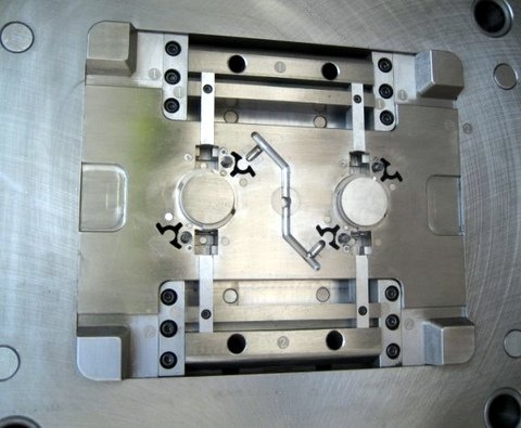 Mold-photo1
