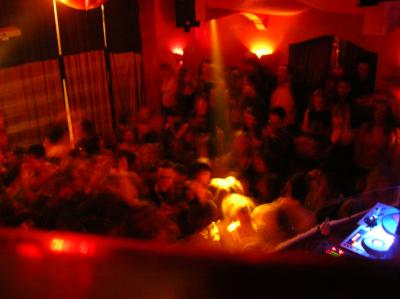 dscn2050-organza-oben-2