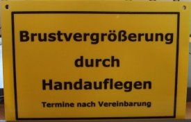 Brustschild