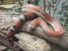 bild7