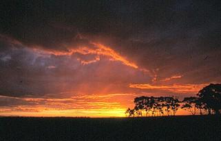 Sonnenuntergang im Outback