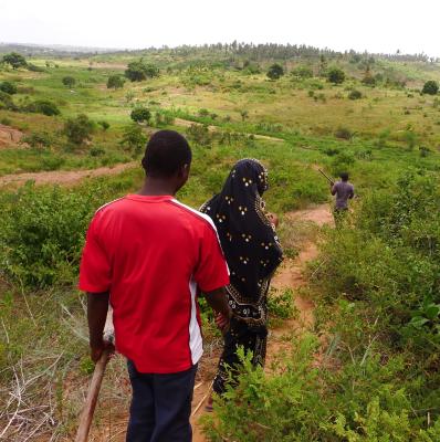 Gruene Huegel und der ganze Hippie-Kram