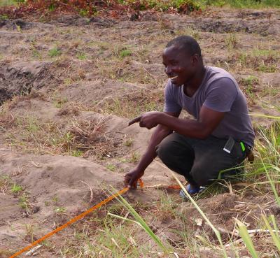Bruno haette seine Freude: S. auf dem Acker