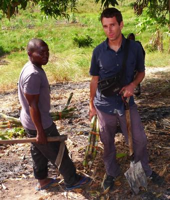 Aufgeschnuert fuer die Kleinen Zuhause: Zuckerrohr 