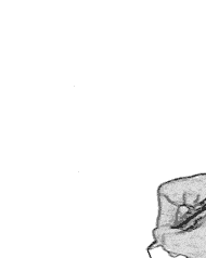 hand-zeichnet-hand