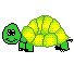 schildkroete