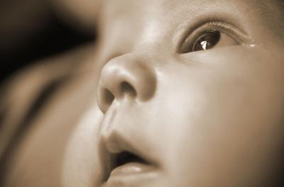 baby_web