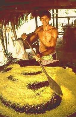 im-Amazonas-Wald-wird-gratis-aufgekocht