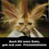 frisoer