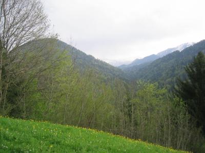 IMG_0074