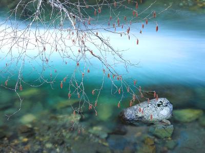 landscape22_800x600