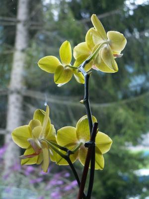 pict0067