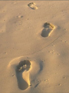fusspur