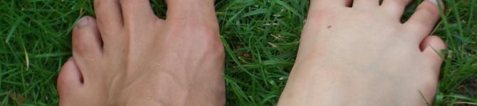 header