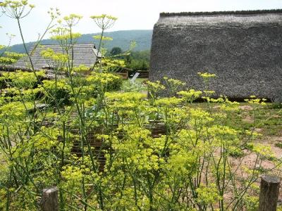 Bauernhaus und Grubenhaus