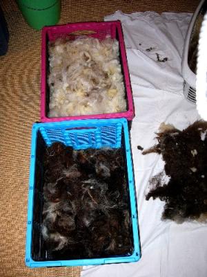 Zum Trocknen sortiert in schwarz und weiss