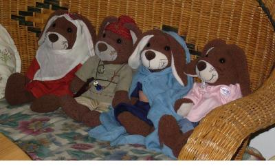 haselheid, konstantin, livia, pipps