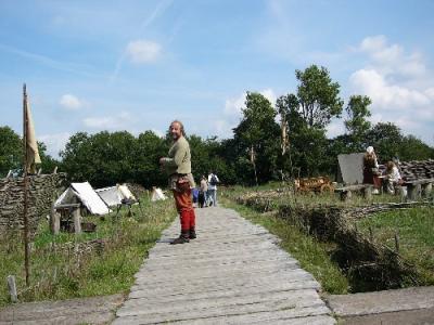 Borre auf dem Holzweg