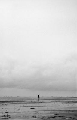 ViewFotoCommunity-1645947