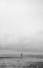 ViewFotoCommunity-1645947