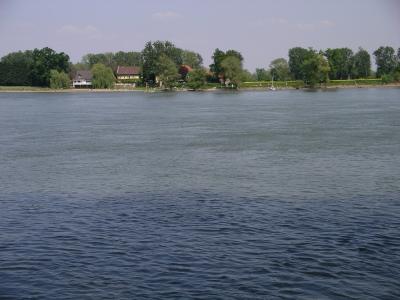 Der Rhein vor Mainz