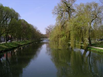 Donau bei Tuttlingen