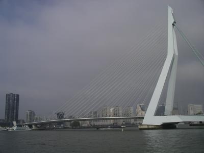 Erasmusbruecke in Rotterdam