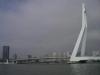 Erasmusbruecke in Rotterdam