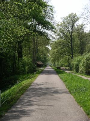 Auf dem Rheindamm