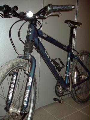 cannondale