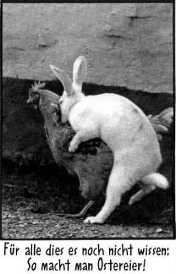 so gehts! *g* so gehts! *g*