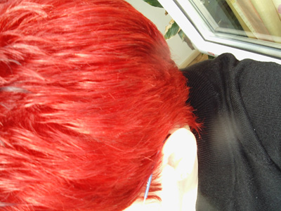 rot