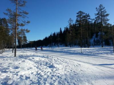 Herrlichstes Wetter in der Nordmarka Herrlichstes Wetter in der Nordmarka