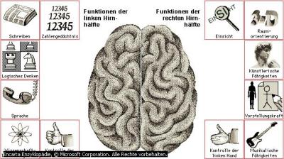 gehirn1