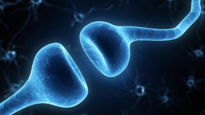 Transportsystem-Zelle