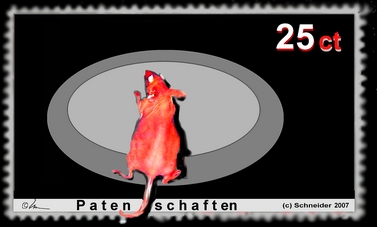 Patenschaften