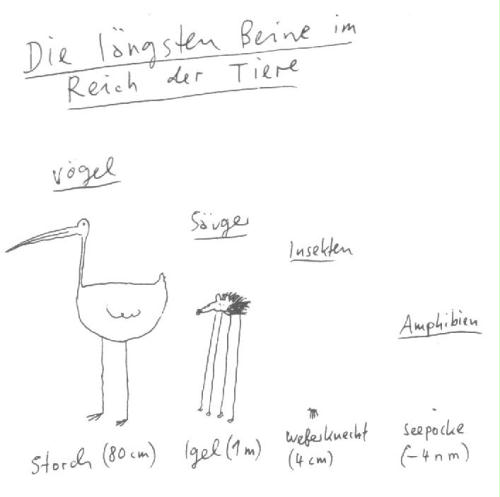 tiere tiere